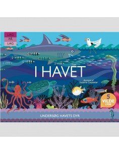 Lag på lag - I havet