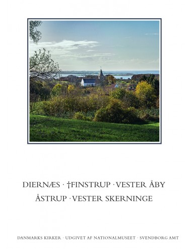 Danmarks kirker. Svendborg Amt....