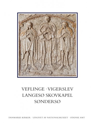 Danmarks Kirker. Odense Amt....