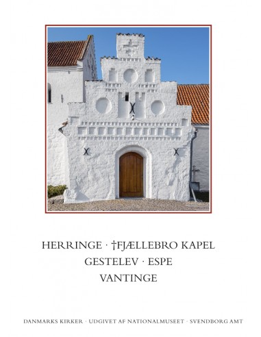 Danmarks kirker. Svendborg Amt....