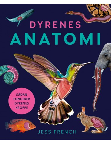 Dyrenes anatomi