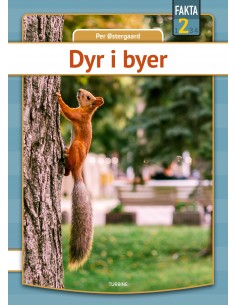 Dyr i byer