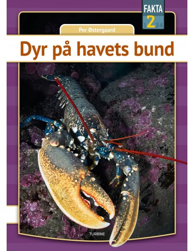 Dyr på havets bund