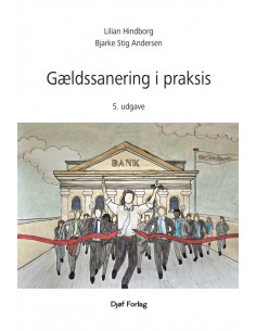Gældssanering i praksis