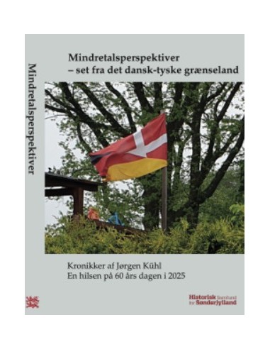 Mindretalsperspektiver