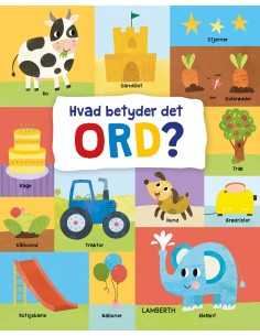 Hvad betyder det ord?