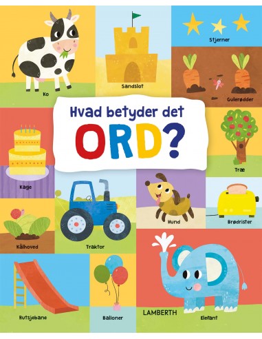 Hvad betyder det ord?