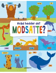 Hvad hedder det modsatte?