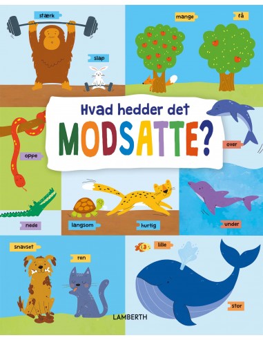 Hvad hedder det modsatte?