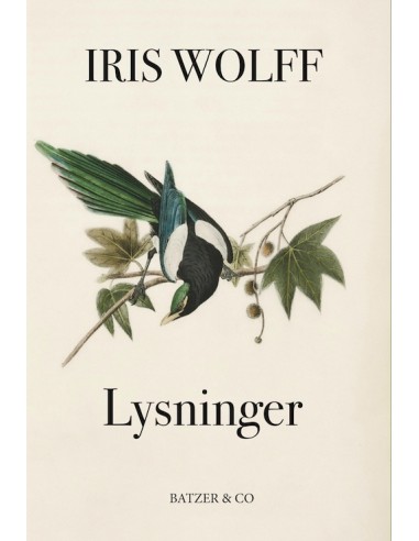 Lysninger