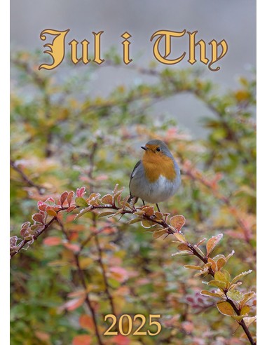 Jul i Thy 2025