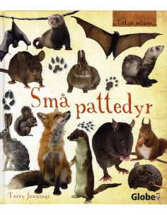 Små pattedyr