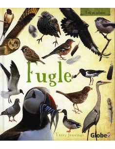 Fugle