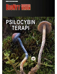 Psilocybin-terapi