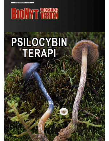 Psilocybin-terapi