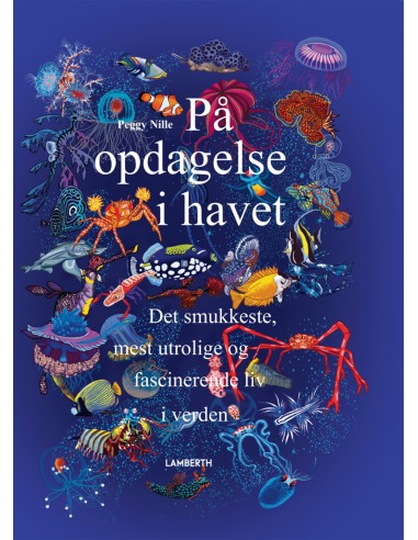På opdagelse i havet