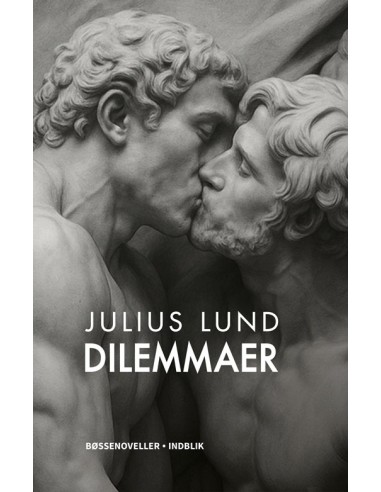Dilemmaer