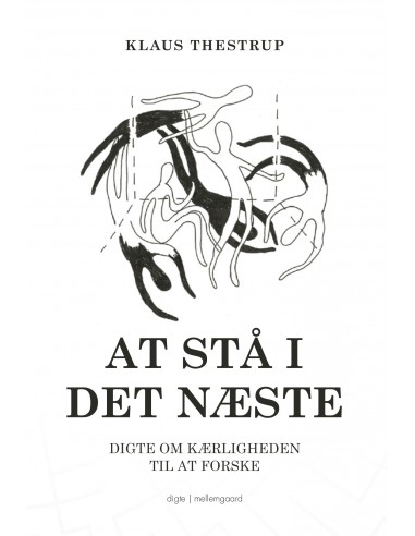 At stå i det næste