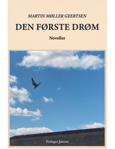 Den første drøm