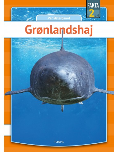 Grønlandshaj