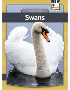 Swans