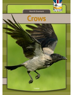 Crows