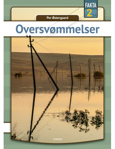 Oversvømmelser