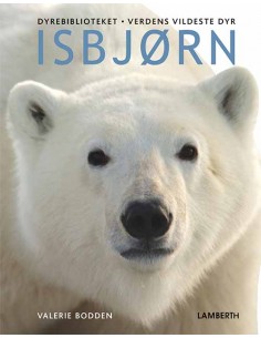 Isbjørn