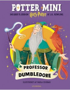 Potter Mini - Professor...