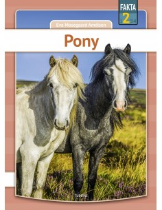 Pony
