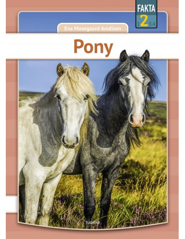 Pony
