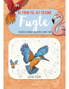 10 trin til at tegne fugle