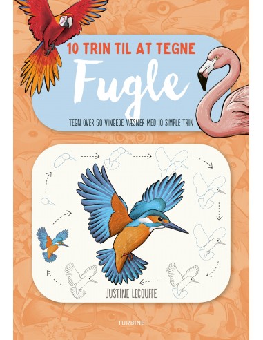 10 trin til at tegne fugle