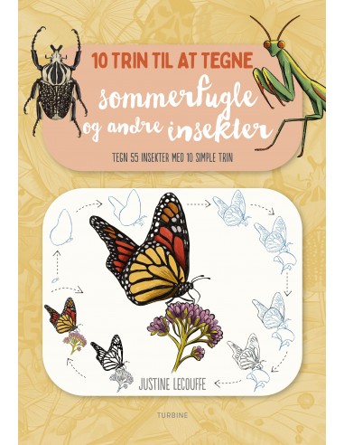 10 trin til at tegne sommerfugle og...