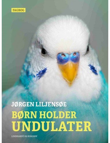 Børn holder undulater