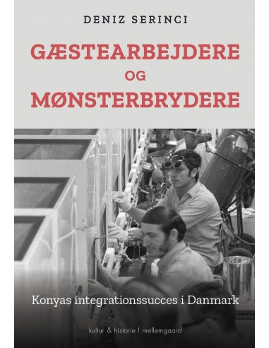 Gæstearbejdere og mønsterbrydere