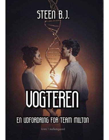 Vogteren