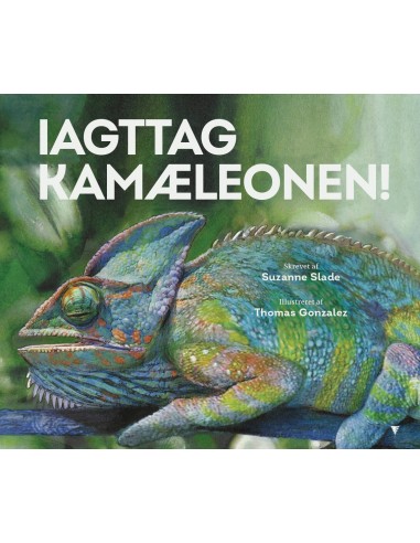 Iagttag kamæleonen