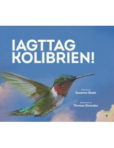 Iagttag kolibrien