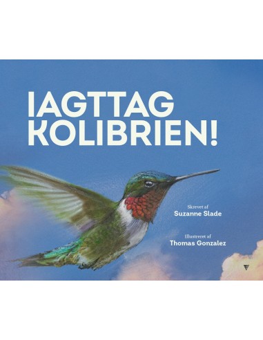 Iagttag kolibrien